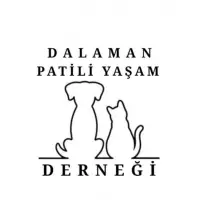 DALAMAN PATİLİ YAŞAM